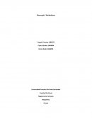 Bioenergía Y Metabolismo