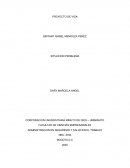 Administracion en seguridad y salud en el trabajo