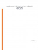 Anatomia sistemas y aparatos