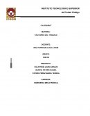 Accidentes de trabajo. Control, organización, limpieza, cuidado