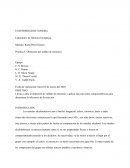 Práctica 6. Obtención del sulfato de estroncio