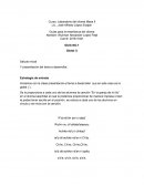 Guías para la enseñanza del idioma