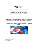 Proceso de Atención de Enfermería a usuario con diagnóstico de “Cáncer de Estómago”