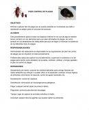 Poes control de plagas