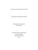 La producción de alimentos orgánicos en Colombia