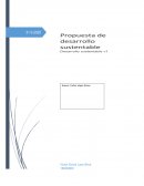 Huella ecologica, empresa Papyrus