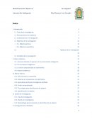 Identificación de Objetos en Automóviles Inteligentes