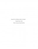 Los Problemas sociales y la Escuela