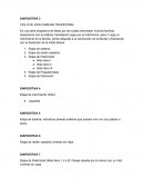 DIAPOSITIVA 3. CICLO DE VIDA FAMILIAR TRADICIONAL