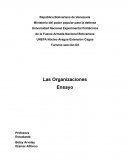 Ensayo de las organizaciones