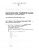 Ingles - Tema DAM desarrollo multiplataformas