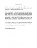 Derechos humanos universales del hombre