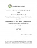Ensayo: Habilidades, retos y tareas. Mi formación docente