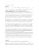 ¿Cómo actúa o para que creen que sirve la tecnología en la internacionalización?