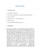 DIARIO DE CAMPO. HABILIDADES MOTRICES BASICAS