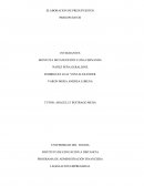 ELABORACION DE PRESUPUESTOS