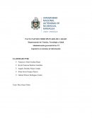 Administración gerencial de las TI . Ingeniería en sistemas de información