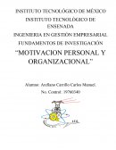 Motivacion personal y organizacional