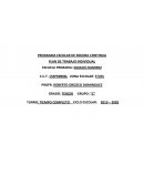 PLAN DE TRABAJO INDIVIDUAL