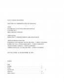 ESTUDIO DE LA CULTURA ORGANIZACIONAL