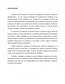 INTRODUCCIÓN EMPRESA COMERCIAL