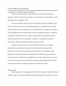 Cómo personas responsables de nuestra naturaleza que podemos proponer para contrarrestar la contaminación en el mundo de manera sustentable?