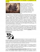 ¿Cuándo comenzó el ser humano a ser mercancía en propiedad de otra persona?