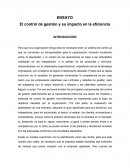 El control de gestión y su impacto en la eficiencia