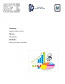 Auditoria Efectos Fiscal