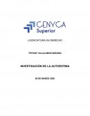Investigación de la autoestima