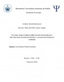 LECTURAS: MARCO TEÓRICO SOBRE LOS EJES TRANSVERSALES / DOCUMENTO DE INTEGRACIÓN MINERVA / LOS EJES TRANSVERSALES COMPEDIO