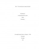 Paso 5 – Cierre del proyecto a manera de artículo