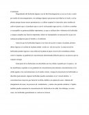 Herbicidas. Conclusión