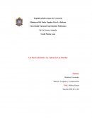 Análisis Los Pies En El Suelo y La Cabeza En Las Estrellas