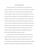 Los Procesos Cognoscitivos