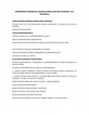 HEMISFERIOS CEREBRALES ORIGEN SISTEMA MOTOR SUPERIOR Y VIA PIRAMIDAL