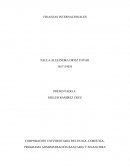 PROGRAMA ADMINISTRACIÓN BANCARIA Y FINANCIERA