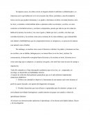 Ensayo desempeño académico