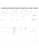 Columna estratigráfica garzon-pital-hobo