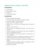 MERMELADA DE LECHOSA