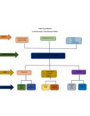 Árbol de problemas La Democracia Como Sistema Político