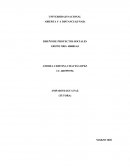 DISEÑO DE PROYECTOS SOCIALES