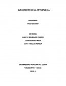 Ensayo antropologia social