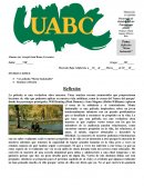 Reflexión “Mente Indomable”