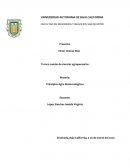 Principios Agro biotecnológicos