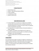 CARACTERISTICAS DEL ISMO