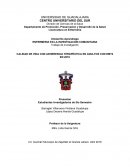 CALIDAD DE VIDA CON ADHERENCIA TERAPÉUTICA EN ADULTOS CON DMT2 EN 2019