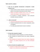 Tejido conjuntivo y adiposo