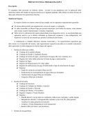 PROYECTO FINAL PROGRAMACION