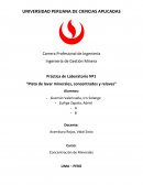 Práctica de Laboratorio Nº1 “Plato de lavar minerales, concentrados y relaves”